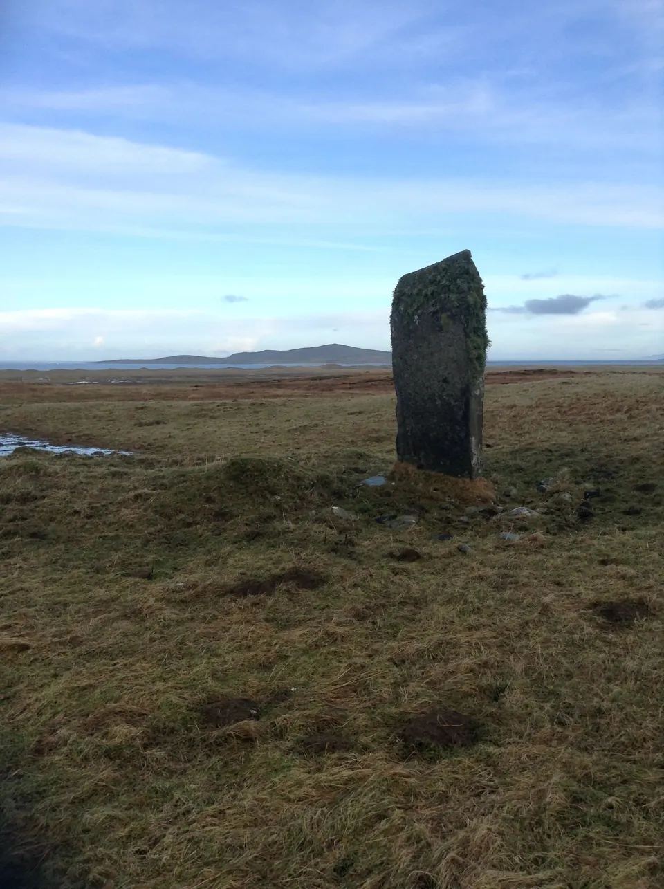 A tall standing stone on moorland